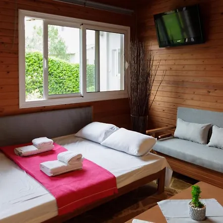 Wooden House *